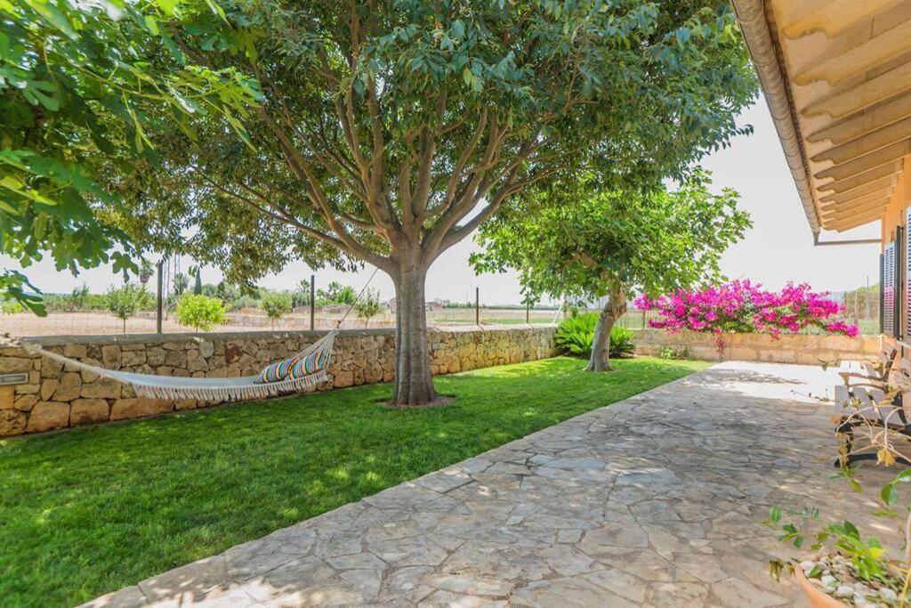 Finca Amer Sa Pobla Kültér fotó